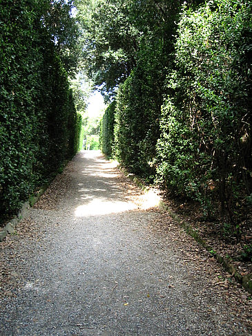 Fotos Im Garten des Palazzo Pitti