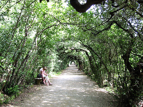 Im Garten des Palazzo Pitti