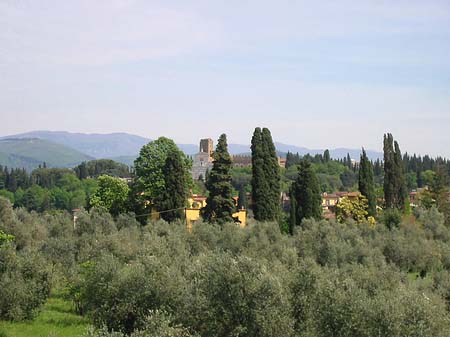 Im Garten des Palazzo Pitti - Toskana (Florenz)